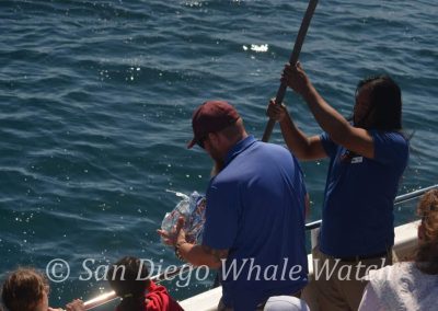 DSC 0279 1 | San Diego Whale Watch 7