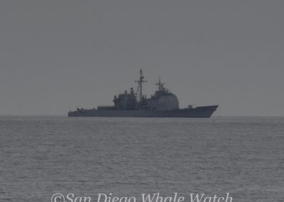DSC 0291 1 | San Diego Whale Watch 13