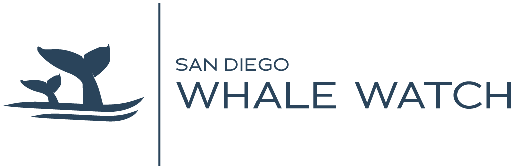 Whale Watching in San Diego CA