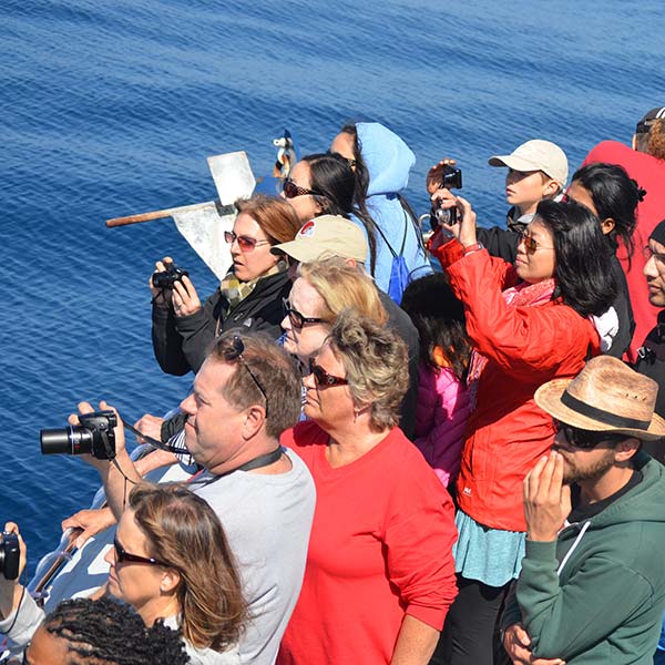 Private Events iconpic | San Diego Whale Watch 1