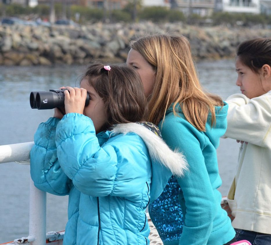 field trips 2 1 | San Diego Whale Watch 3
