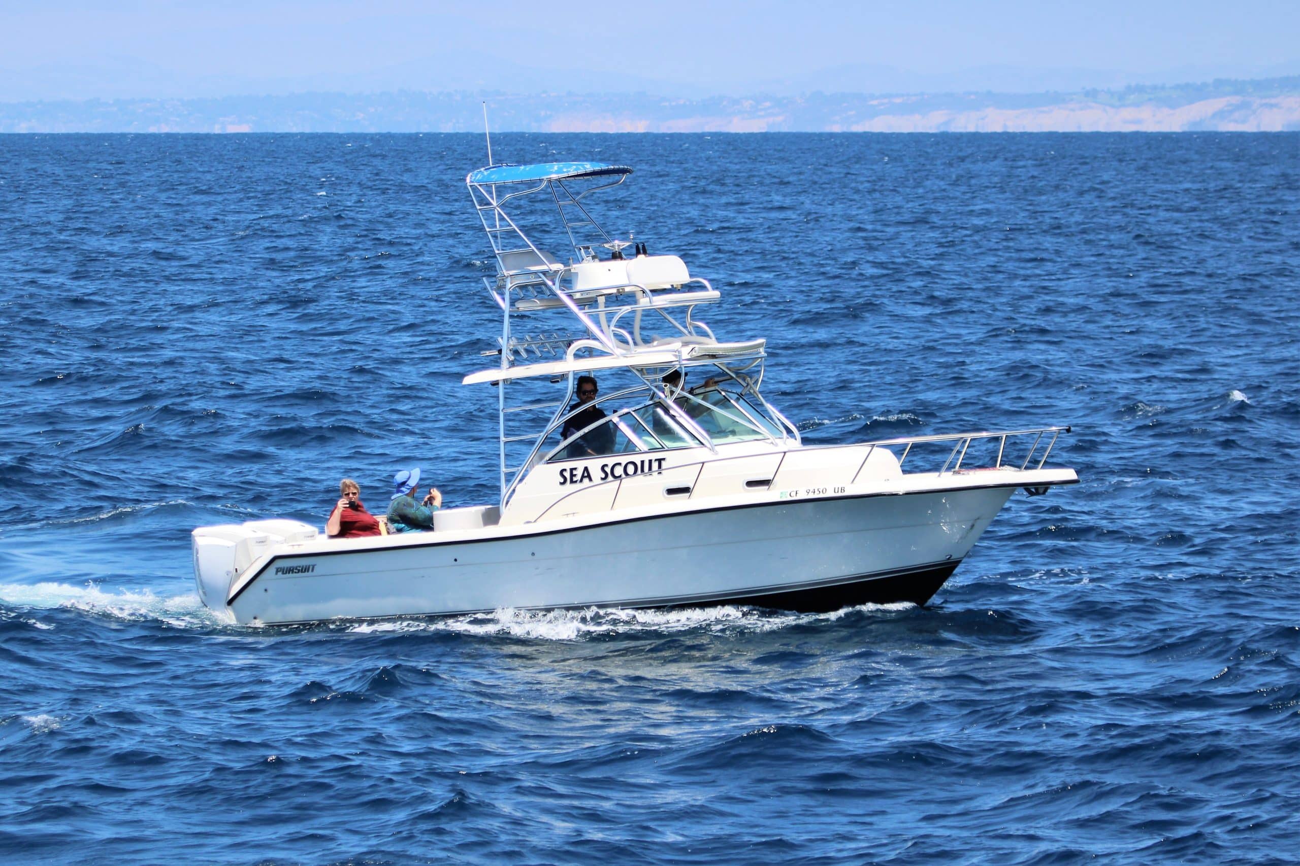 Whale Watching Adventure Tour San Diego