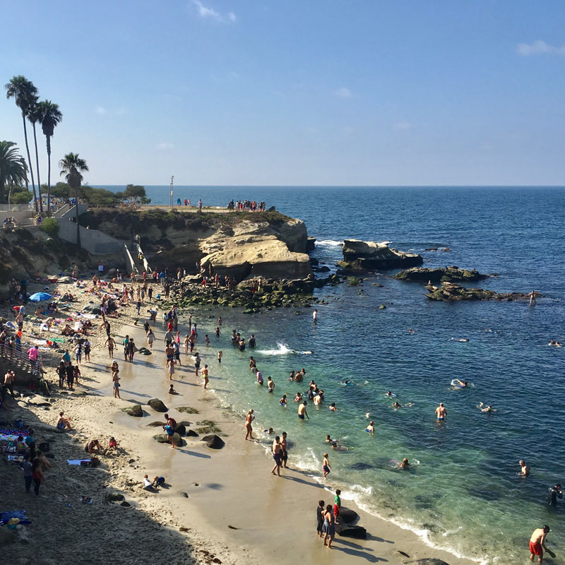 people on la jolla cove beach 2022 11 15 12 47 09 utc 1 | San Diego Whale Watch 46