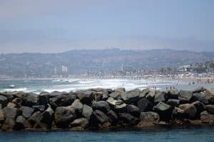 IMG 0972 2 | San Diego Whale Watch 7