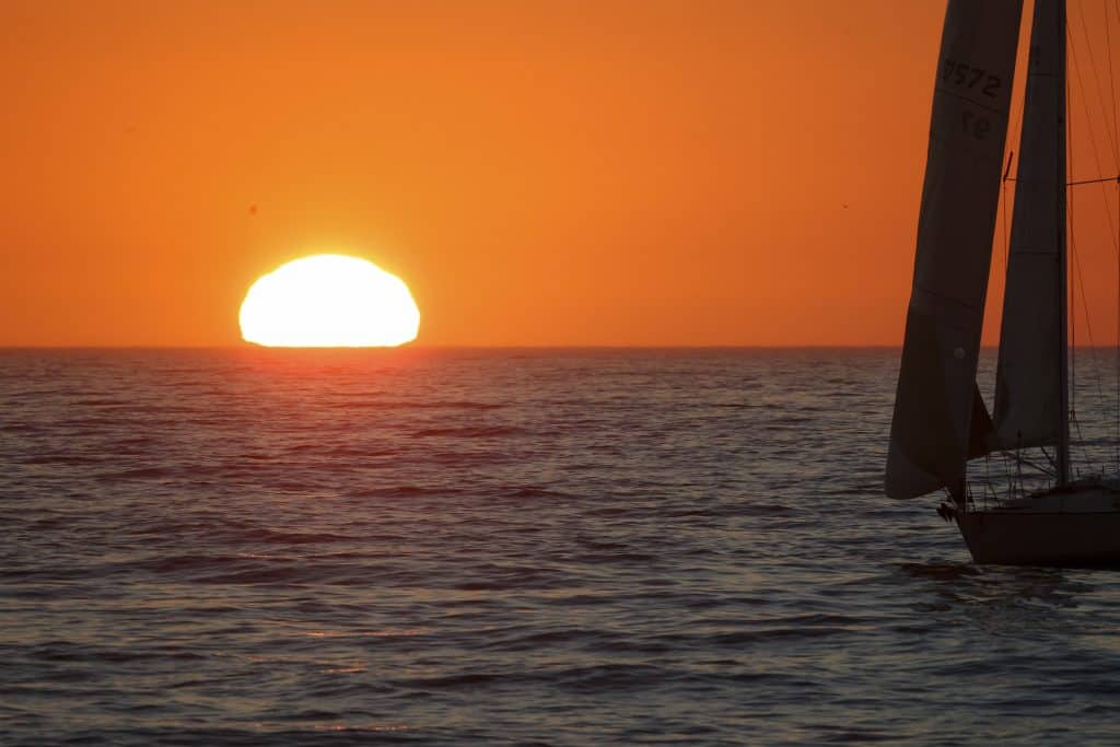 217A9412 | San Diego Whale Watch 11