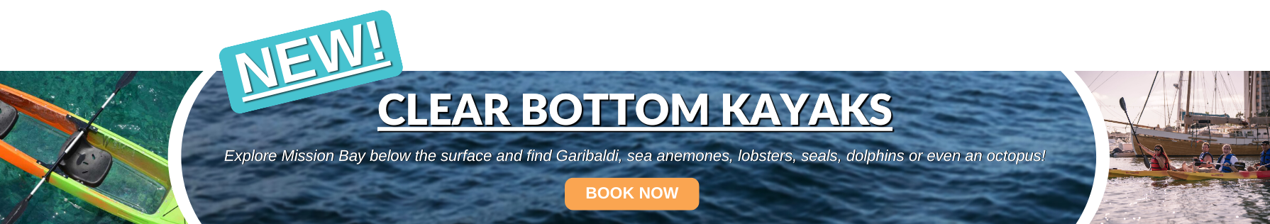 Clear Bottom Kayaks