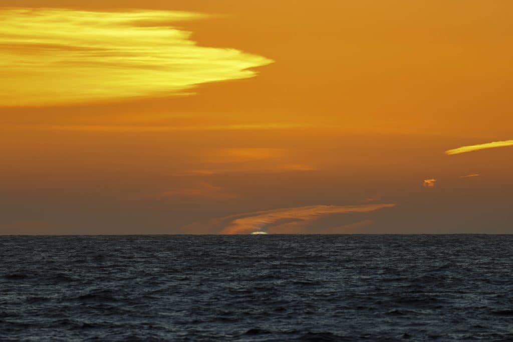 20260315 0K2A3137 | San Diego Whale Watch 29