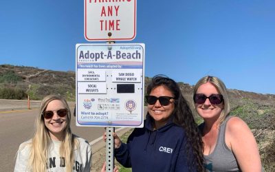 San Diego Whale Watch Adopts Fiesta Island for Earth Month, Rallies Community for Coastal Cleanups