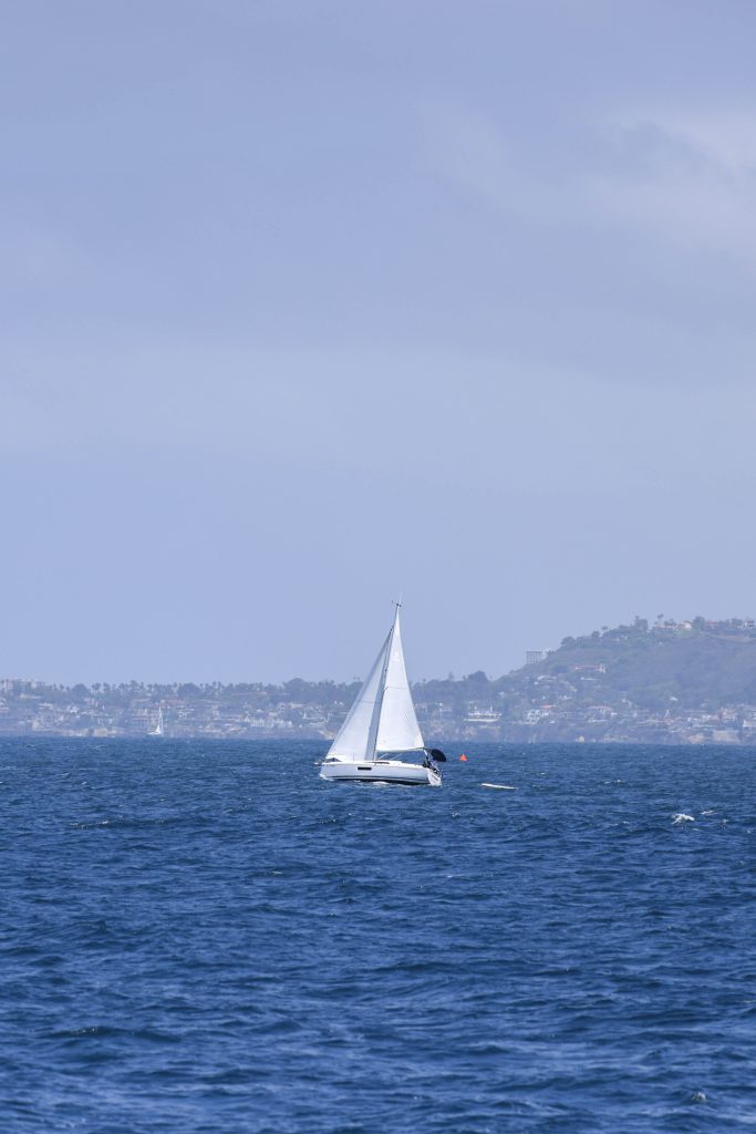 20250524 0K2A3590 | San Diego Whale Watch 9