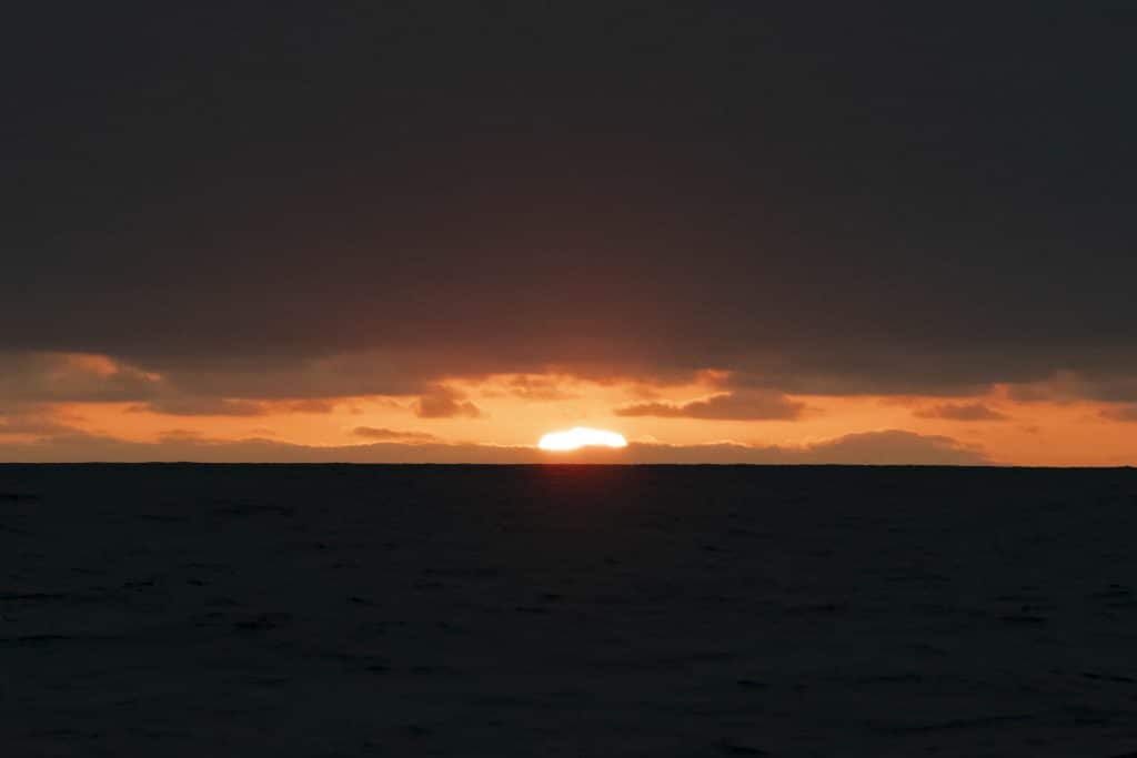 20250607 DSC9417 | San Diego Whale Watch 3