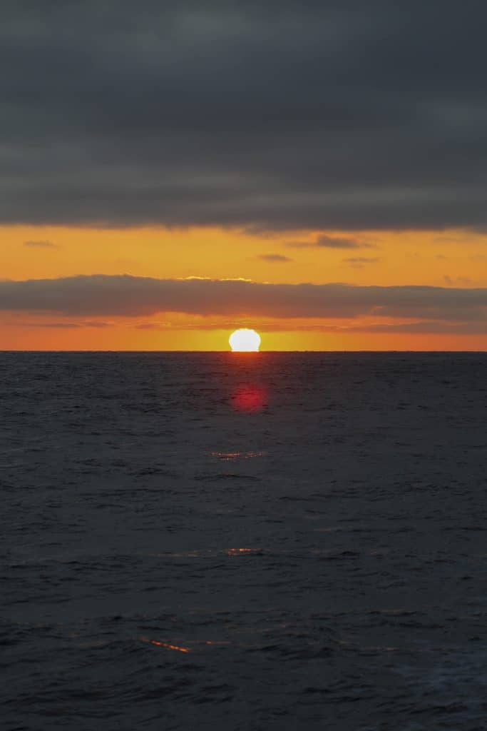 20250629 0K2A3432 | San Diego Whale Watch 1