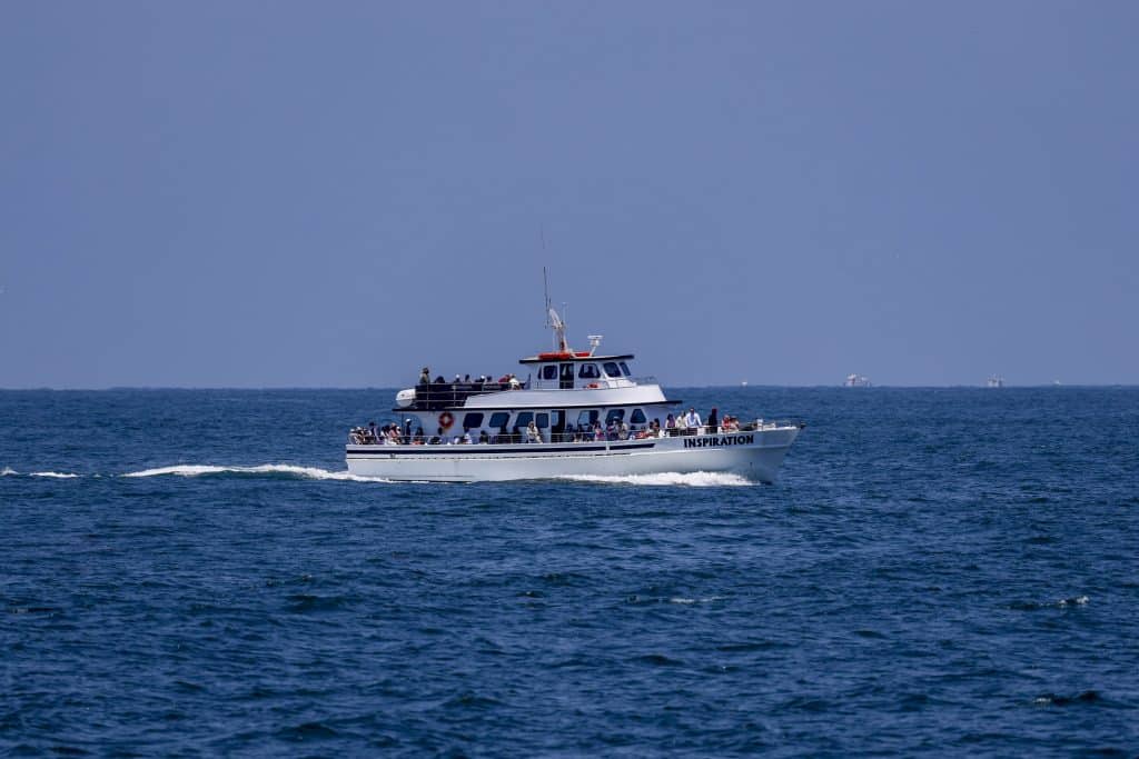 20250705 0K2A0705 | San Diego Whale Watch 34