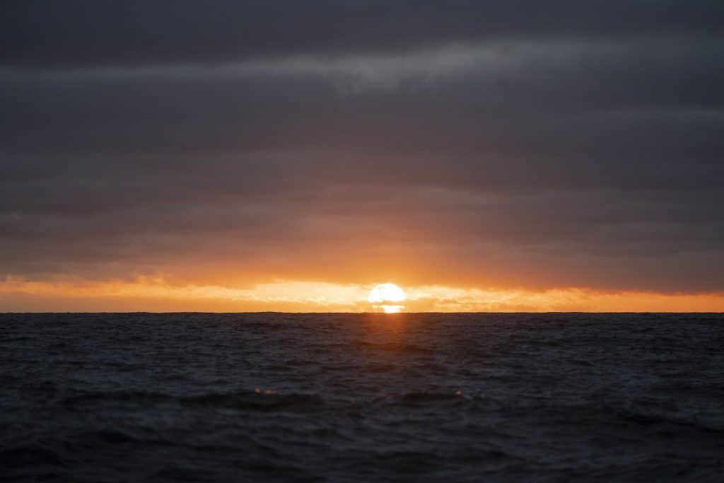 20250725 DSC1022 | San Diego Whale Watch 3