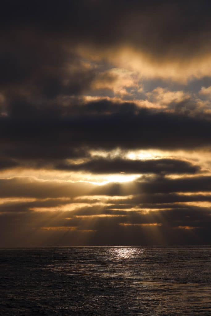20250801 0K2A7182 | San Diego Whale Watch 37