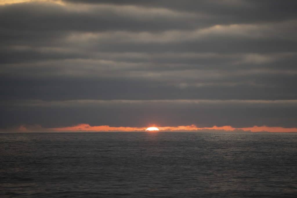 20250816 DSC3107 | San Diego Whale Watch 30