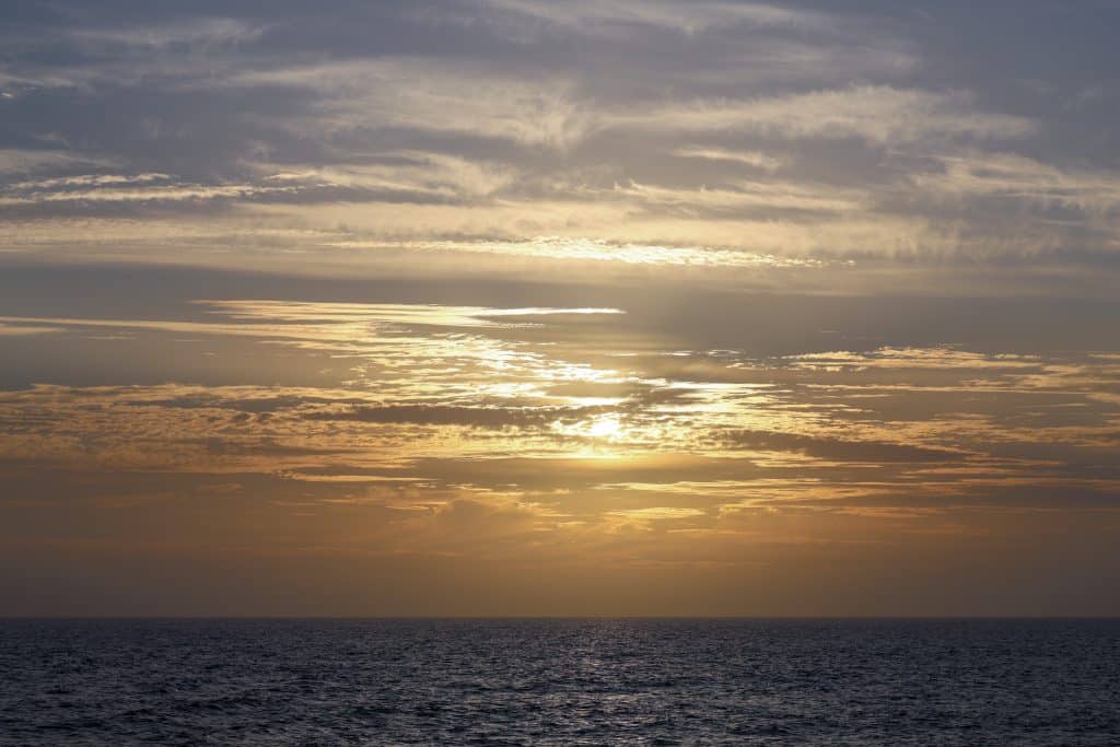 20250821 0K2A2912 | San Diego Whale Watch 34