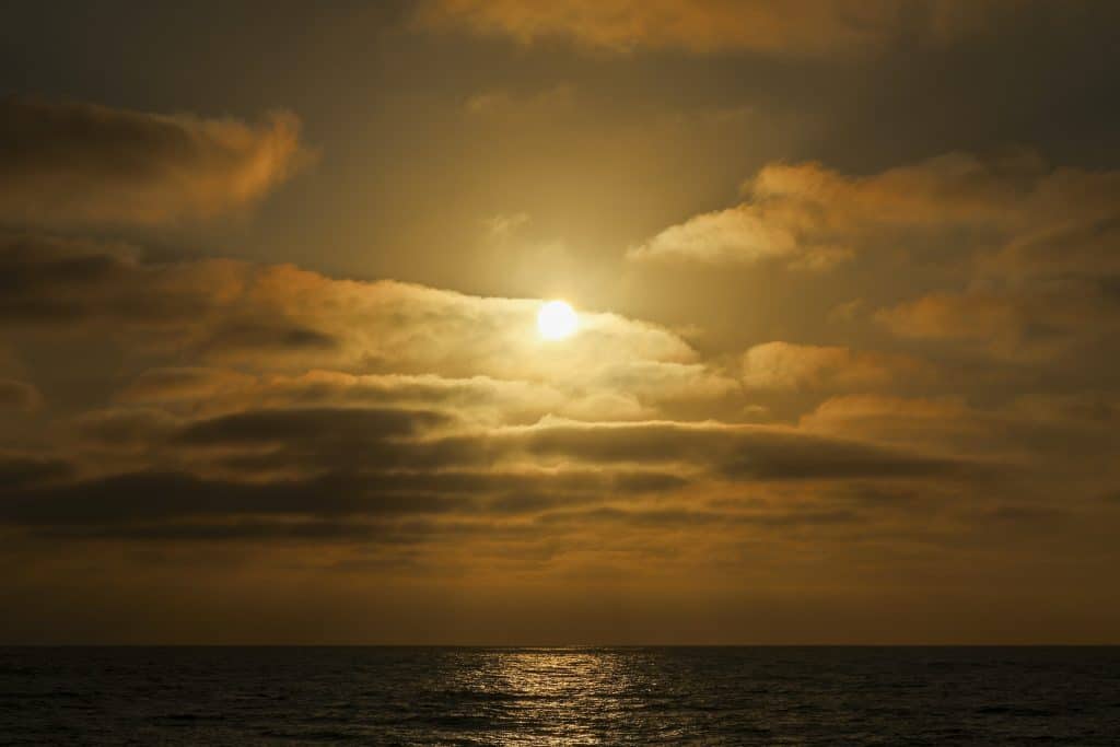 20250824 0K2A0328 | San Diego Whale Watch 22