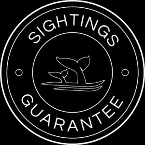 guaranteed-sighting-seal