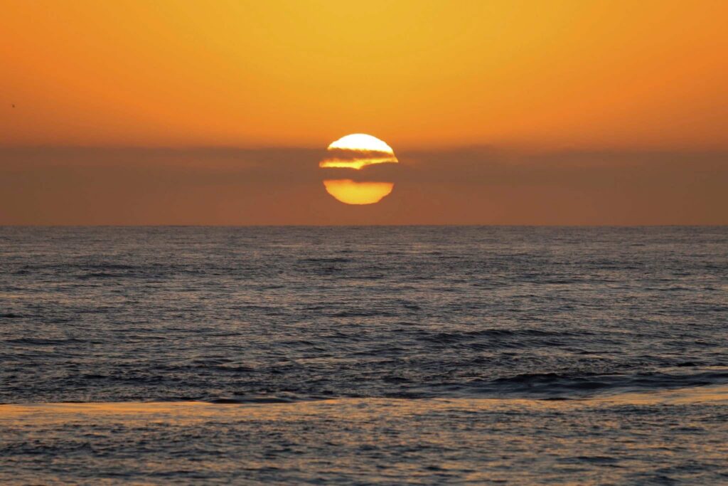 San Diego Sunset Whale Watch