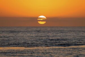 San Diego Sunset Whale Watch