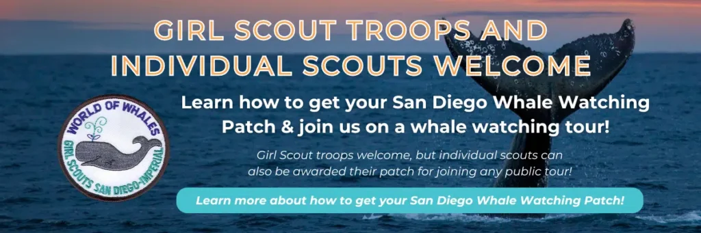 SDWW-Girl-Scout-Badge-1.png