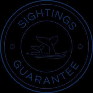 Sightings Guarantee-seal-icon