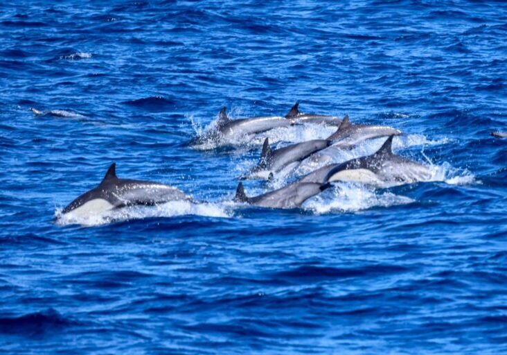 554023932_1259362836236166_1570681025689947606_n