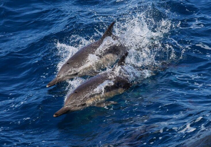 556363072_1265268958978887_5395245429723706861_n