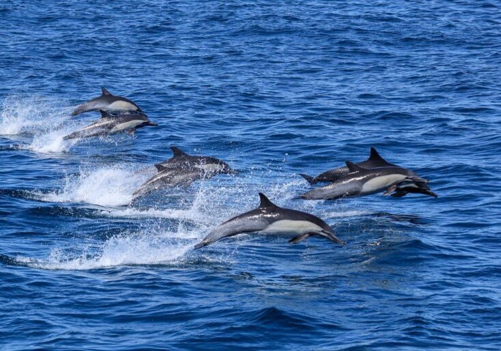 557485319_1267334832105633_5729667961004955103_n