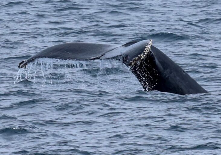 558836372_1272477031591413_4879617858520679844_n