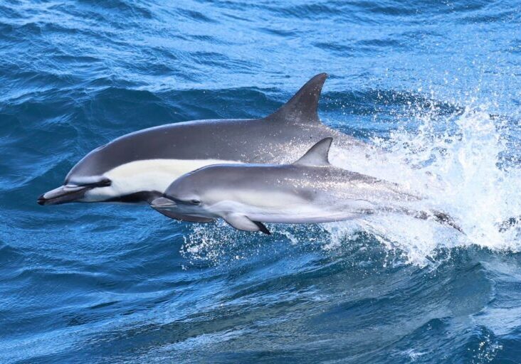 558874548_1275078041331312_6652389785291098196_n