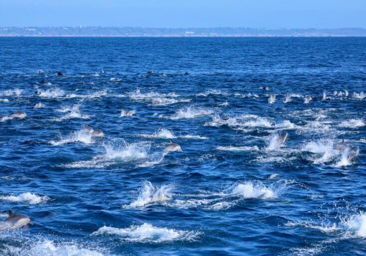 566222129_1288275326678250_909316197173650456_n