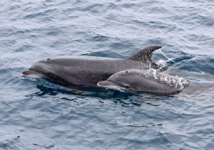 569171864_1289975793174870_8193219545569142663_n