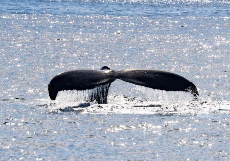 571148738_1290897216416061_2339856588650162611_n