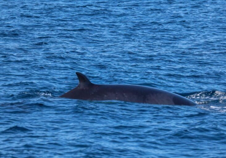 571217417_1291803712992078_7205008226137238942_n