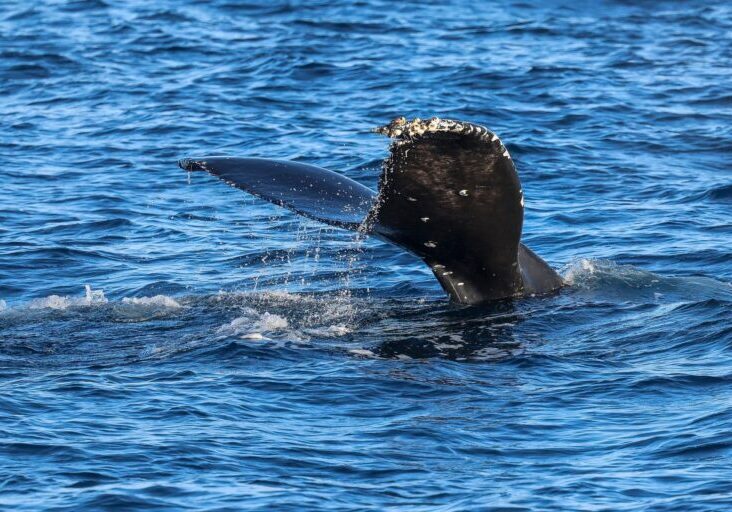 575075227_1300382762134173_1343071180210411782_n