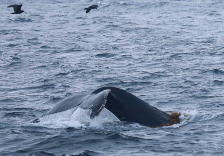 579655945_1304804198358696_895576811861895609_n