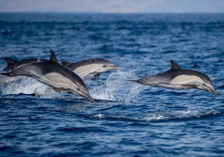 581931827_1307504571421992_5329894340721114576_n