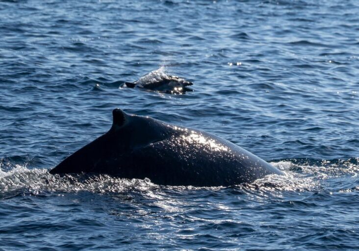 585898560_1312212927617823_7124803940958313084_n