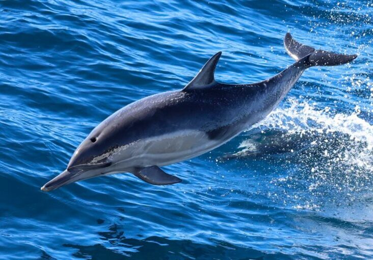 588267349_1315504927288623_3743472172481840676_n