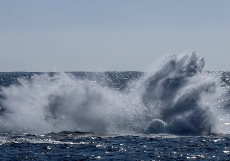 588838558_1316359957203120_8999095149122342806_n