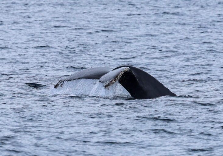 589079493_1314683830704066_1304204362496709748_n