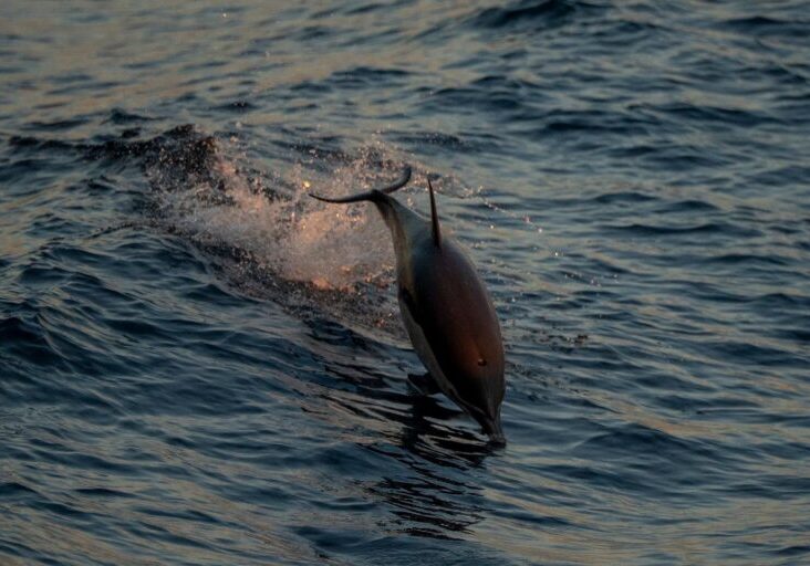 590555299_1319108080261641_1892000619228995174_n