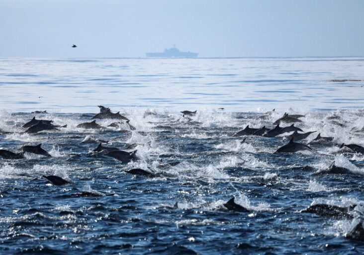 590778083_1323055973200185_7950589927776670752_n