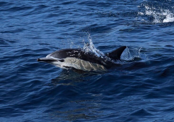 592150586_1321205500051899_6247219911161201210_n