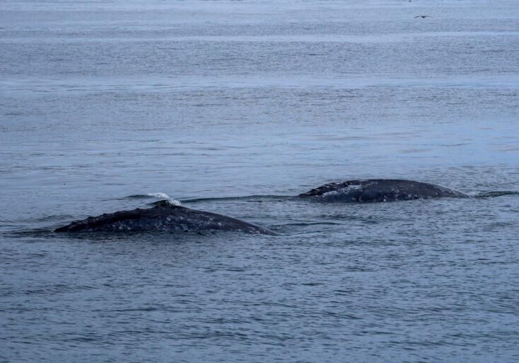 594057539_1321280030044446_5357531462253281539_n