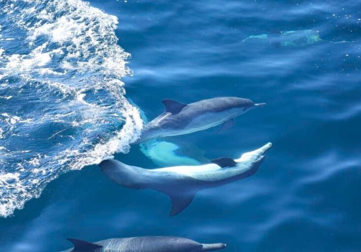 594160020_1325959519576497_187097017450530924_n