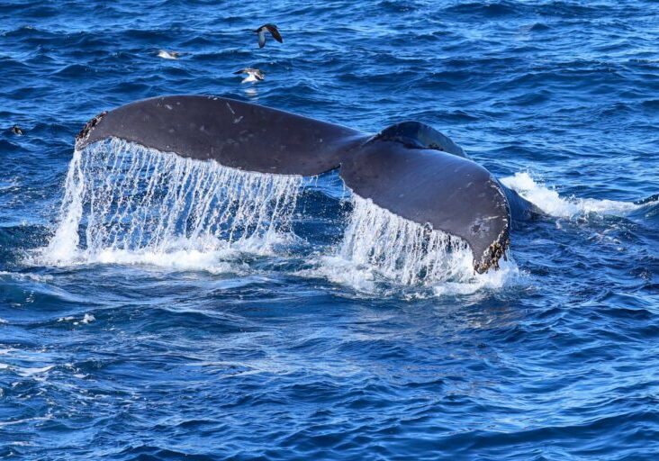 595102818_1324506843055098_3153731836423850679_n