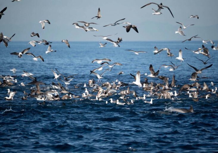 597387739_1329865072519275_6767681265204053404_n