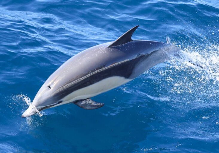 597396594_1327595926079523_4367717572219628477_n